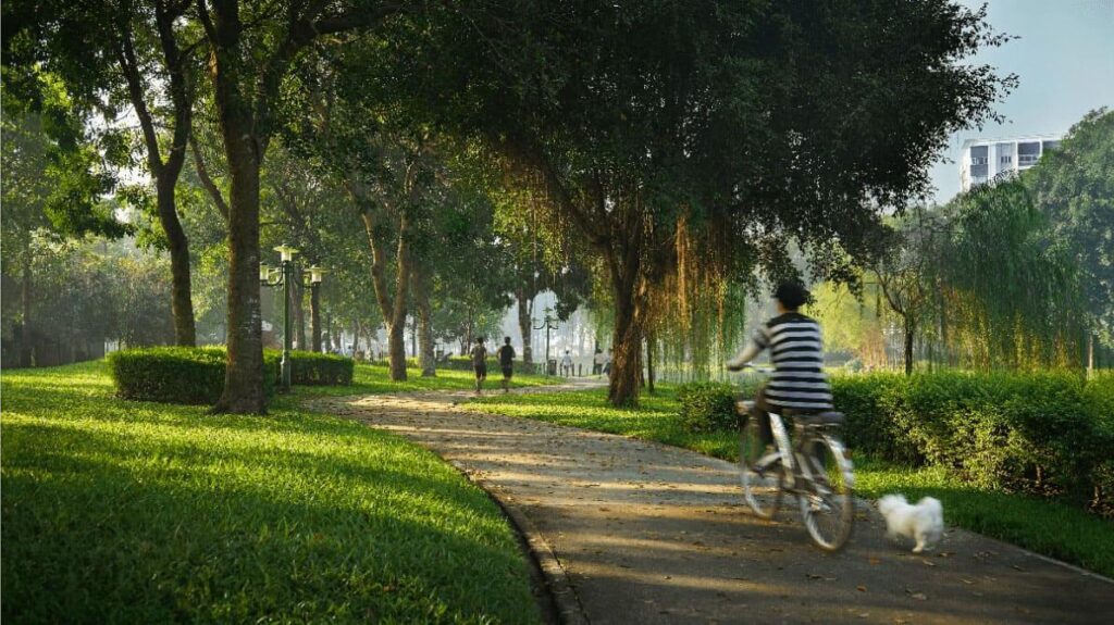 Những buổi chiều tại công viên Celadon 3
